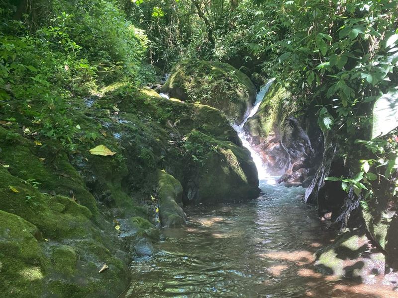79 Ac, Waterfalls, Coffee, Pasture : Orosi Valley : Costa Rica