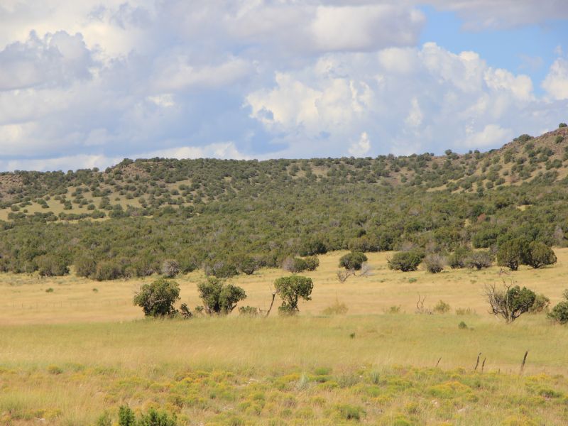 Woodland Valley Ranch : Saint Johns : Apache County : Arizona