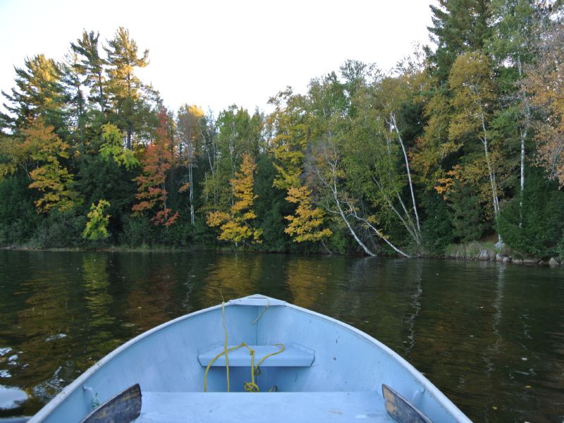 12 Acres On Two Sisters Lake : Newbold : Oneida County : Wisconsin