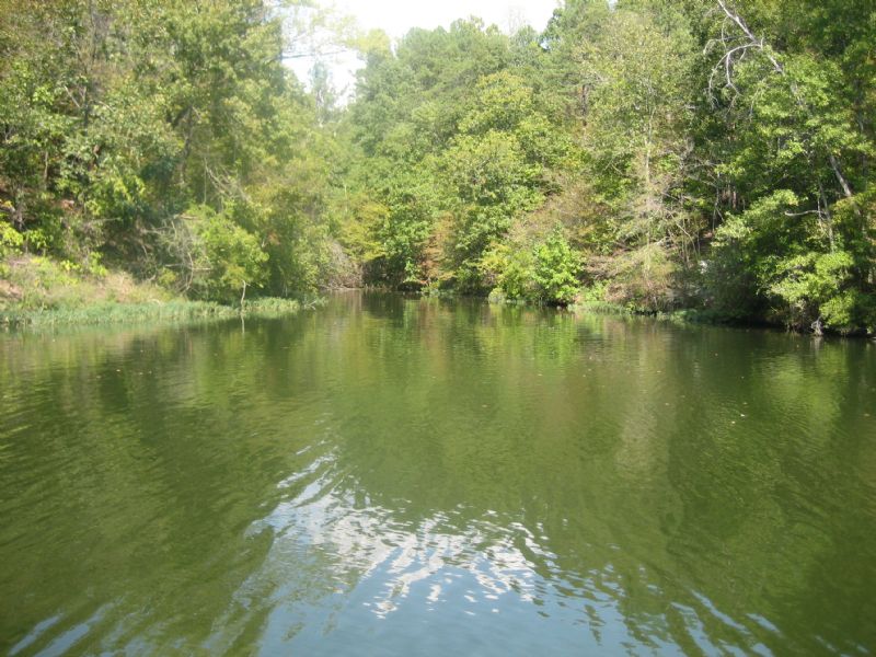 2 Lots The View On Bankhead Lake : Quinton : Walker County : Alabama