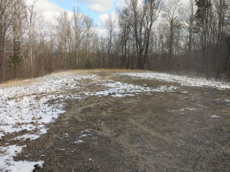 550 Acres with Timber Lot Of Trails : Irvine : Estill County : Kentucky