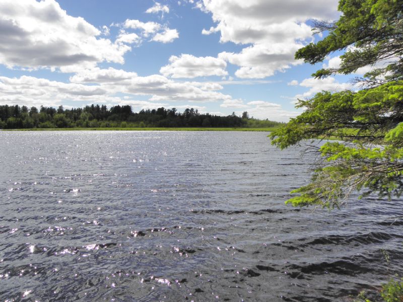 Hadley Lake Forest : East Machias : Washington County : Maine