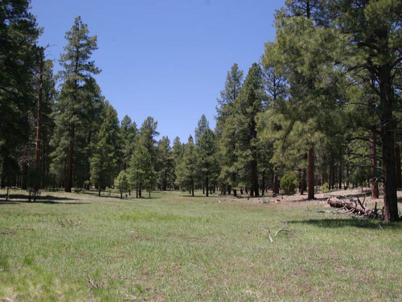 Tampico Springs Ranch 20 : Gallup : McKinley County : New Mexico