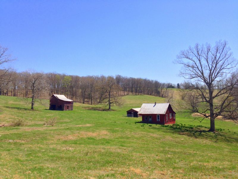 125 Acres With Pasture/ponds Land for Sale in Slayden, Dickson County