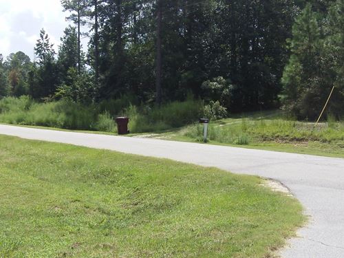 Barnes Mountain Farms, 10.75 Acres : Monticello : Jasper County : Georgia