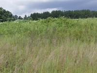 Bear Creek Farms, 2.69 Acres : Mansfield : Jasper County : Georgia