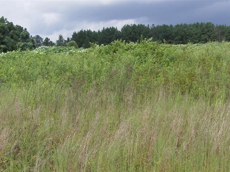 Bear Creek Farms, 2.69 Acres : Jasper County : Georgia