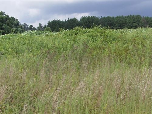 Bear Creek Farms, 2.69 Acres : Jasper County : Georgia