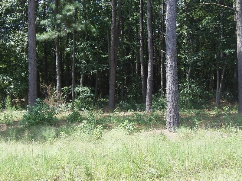 Deep Lake Farms, 6.09 Acre Lot : Shady Dale : Jasper County : Georgia