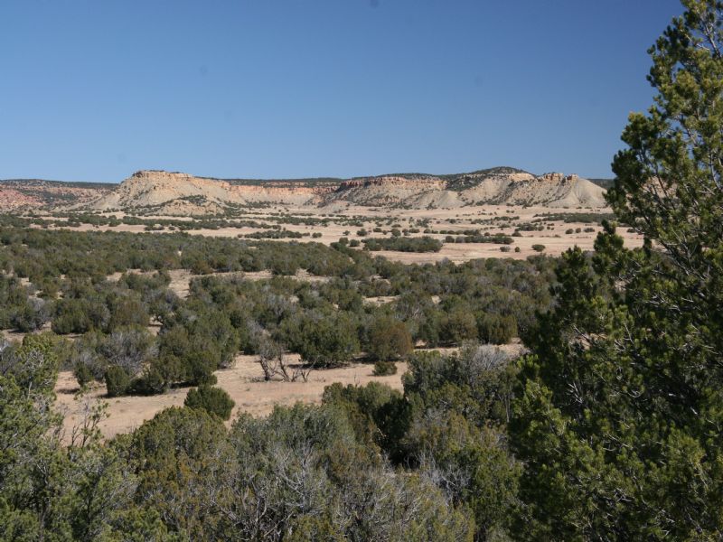 Sierra Mountain Ranch : Saint Johns : Apache County : Arizona