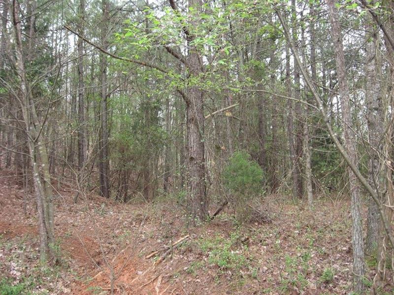 1.06 Acre Residential Lot for Sale : Rome : Floyd County : Georgia