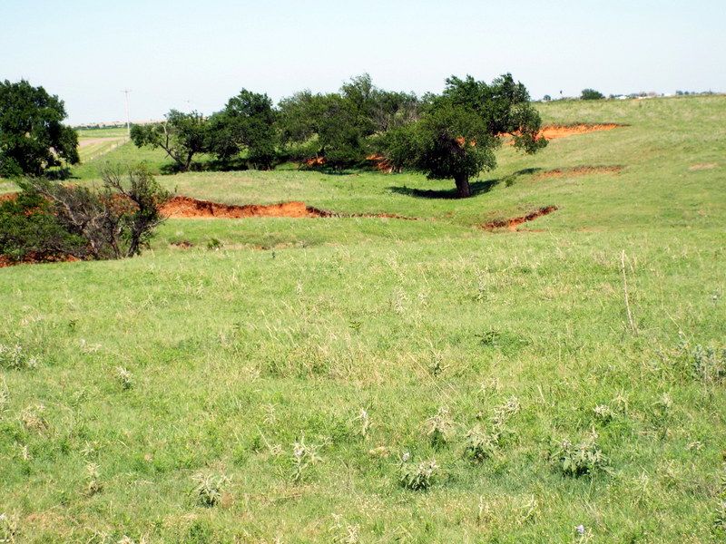 160 Acres- Ponds- Cattle Farm- Crop : Piedmont : Canadian County : Oklahoma