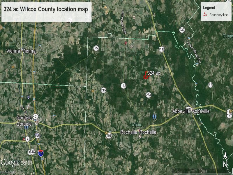 Cheap Hunting Land Planted Pines : Abbeville : Wilcox County : Georgia