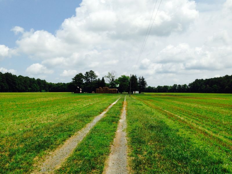 Evans Farm : Ellendale : Sussex County : Delaware