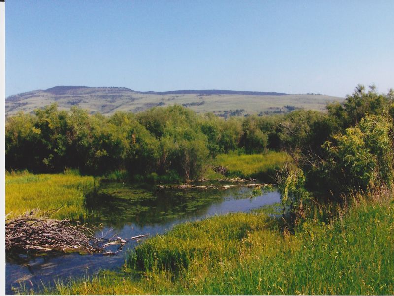 Lost River Ranch Land for Sale in Utica, Judith Basin County, Montana