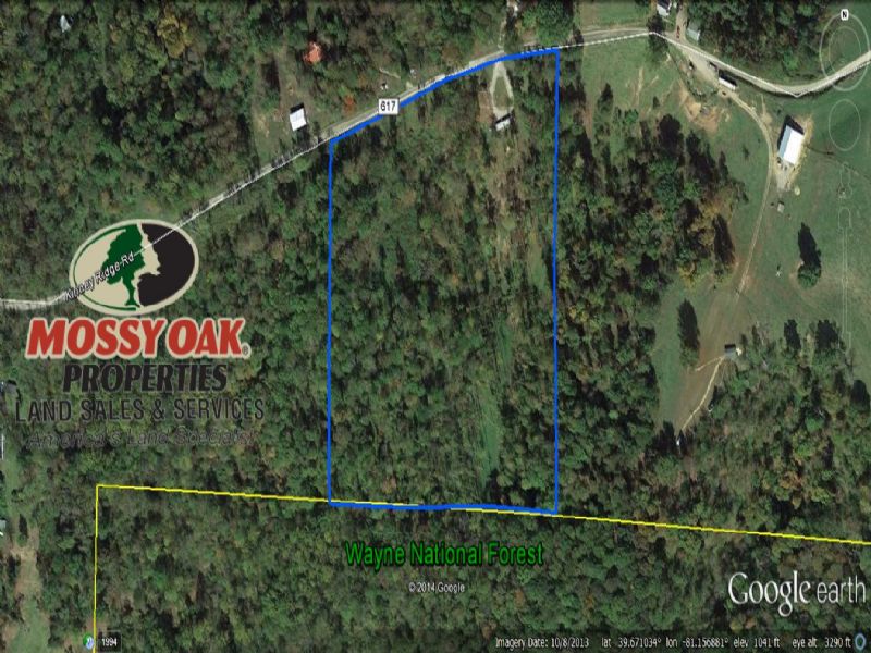 13 Acre Hunting Camp On Public, Land for Sale in Ohio, 78599 LANDFLIP