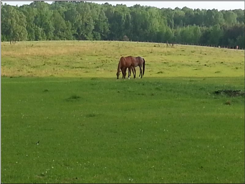 125 Acres : Jackson : Hinds County : Mississippi