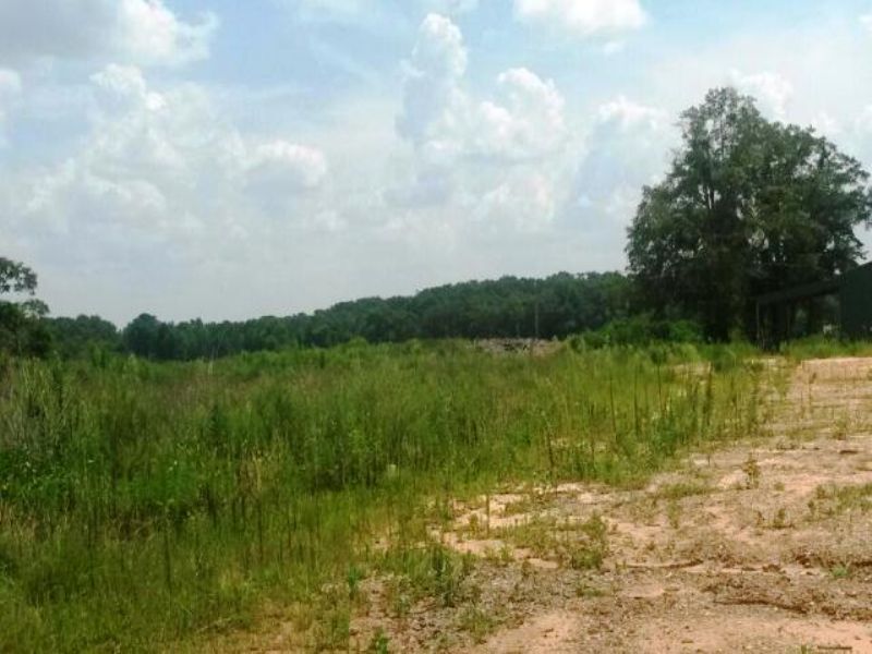 80 +/- Acres for Commerical Use : Troy : Pike County : Alabama