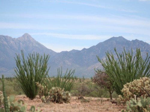 Canoa Preserve : Green Valley : Santa Cruz County : Arizona