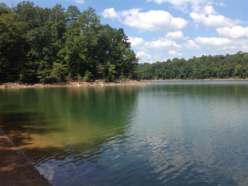 67041 Lewis Smith Lake Land for Sale in Arley, Winston County
