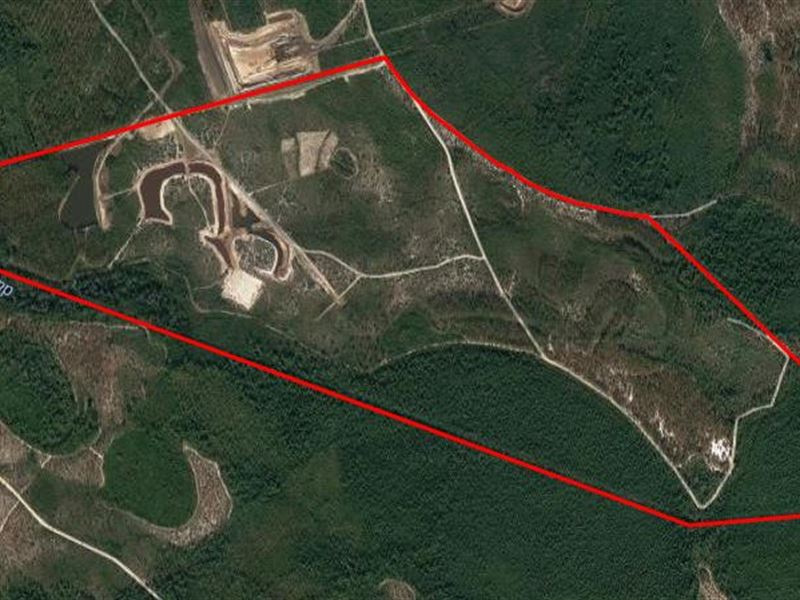 Bear Bone Tract : Myrtle Beach : Horry County : South Carolina