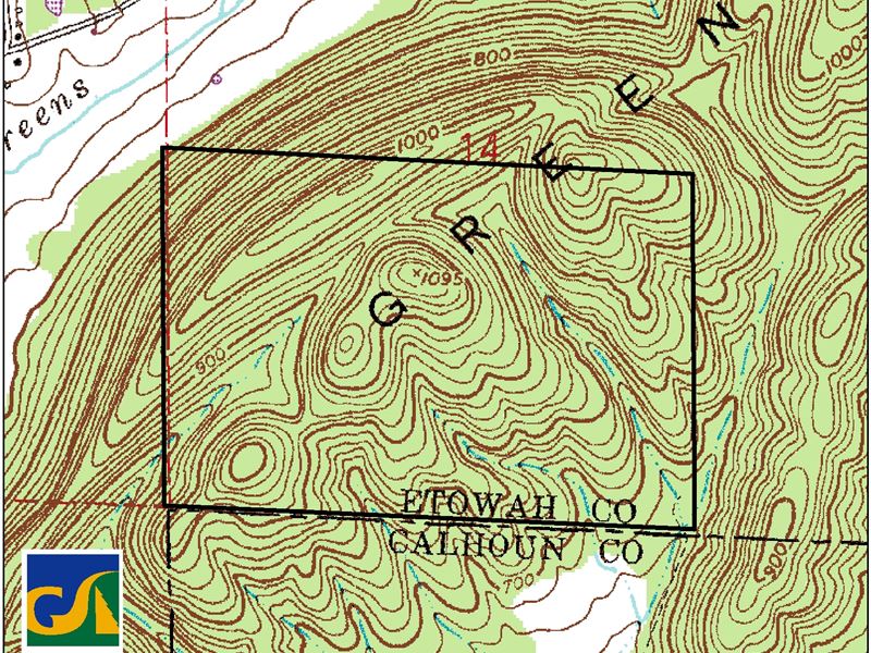 Green Creek Mountain : Gadsden : Etowah County : Alabama