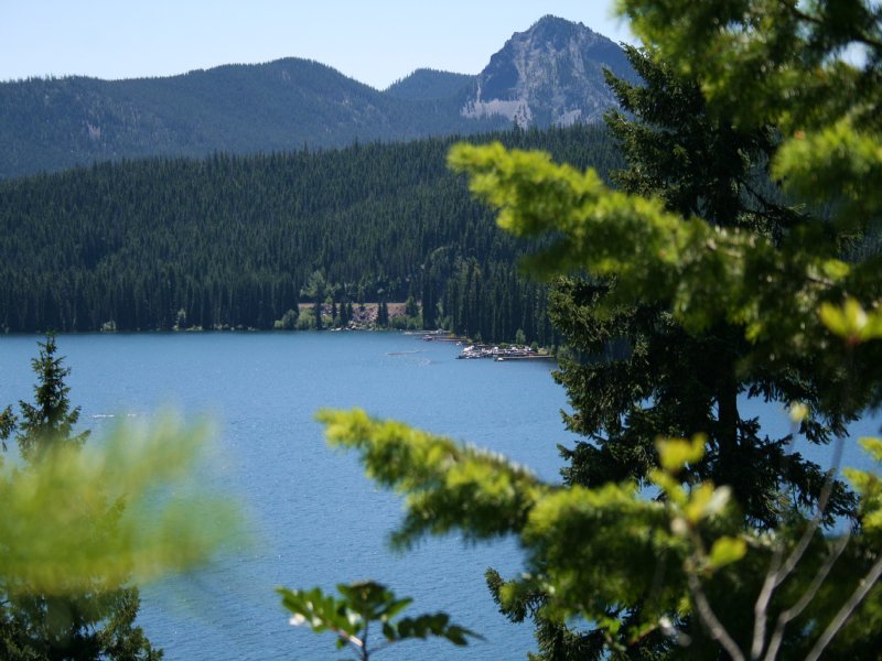 Shelter Cove Resort and Marina : Cresent : Klamath County : Oregon
