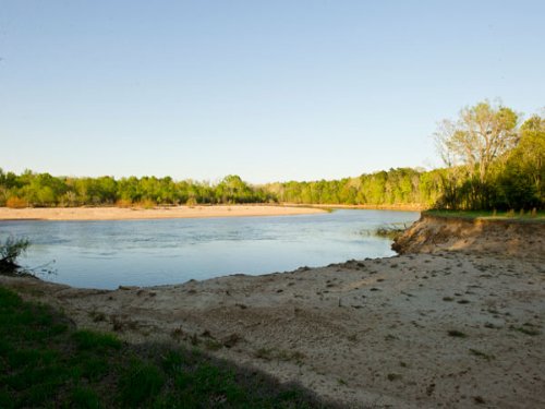 Horseshoe Plantation : Mt Vernon : Montgomery County : Georgia