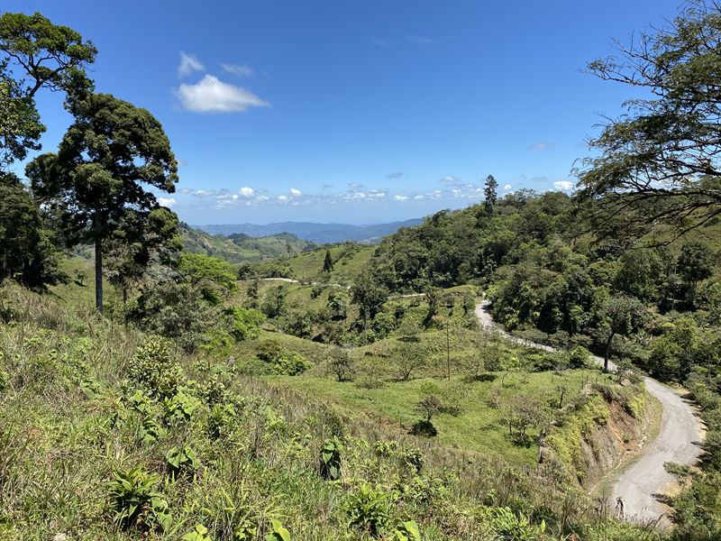59 Acre Cattle Farm with Waterfalls : La Suiza De Turrialba : Costa Rica