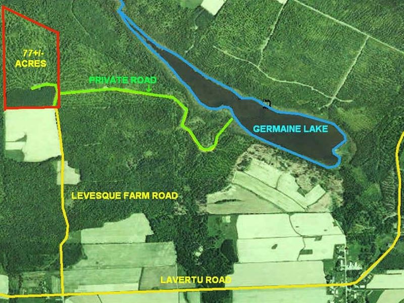 77 Acres in Madawaska, ME, Land for Sale by Owner in Maine, 81900