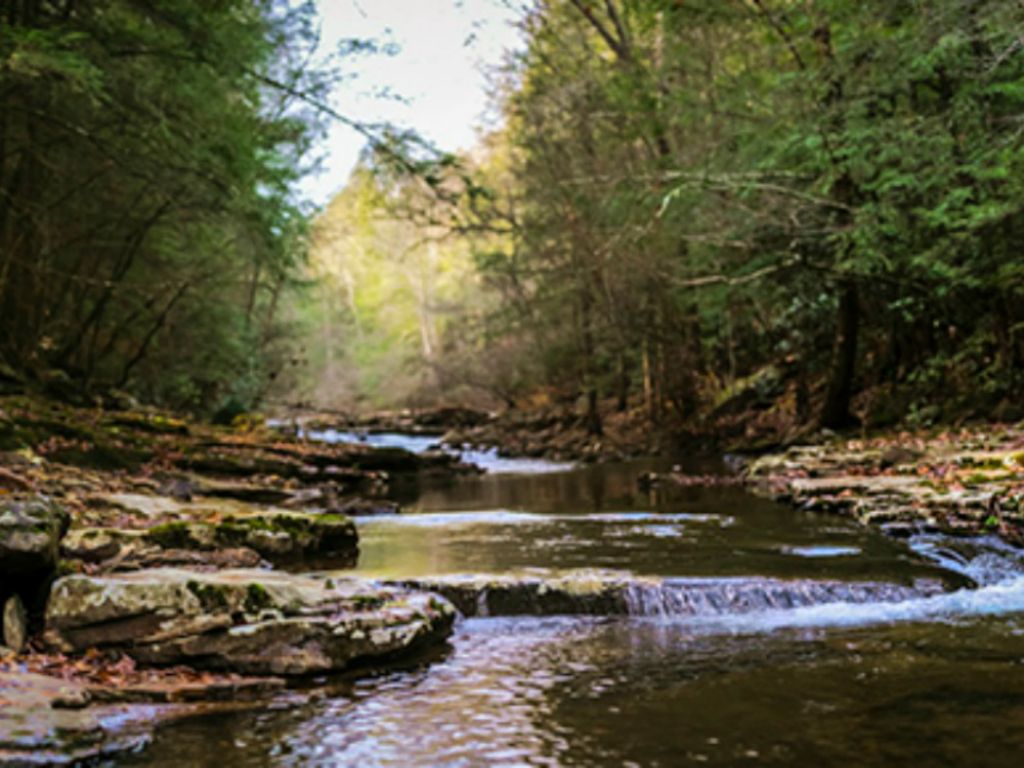 Cc View Lot W/ Creek On Property, Land for Sale in Tennessee, 83181
