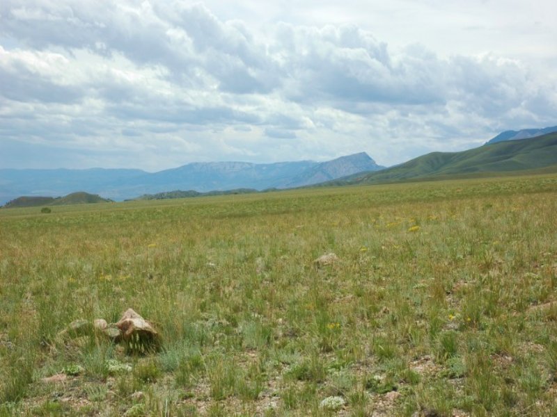 Beartooth Valley Ranch 944-4 : Red Lodge : Carbon County : Montana