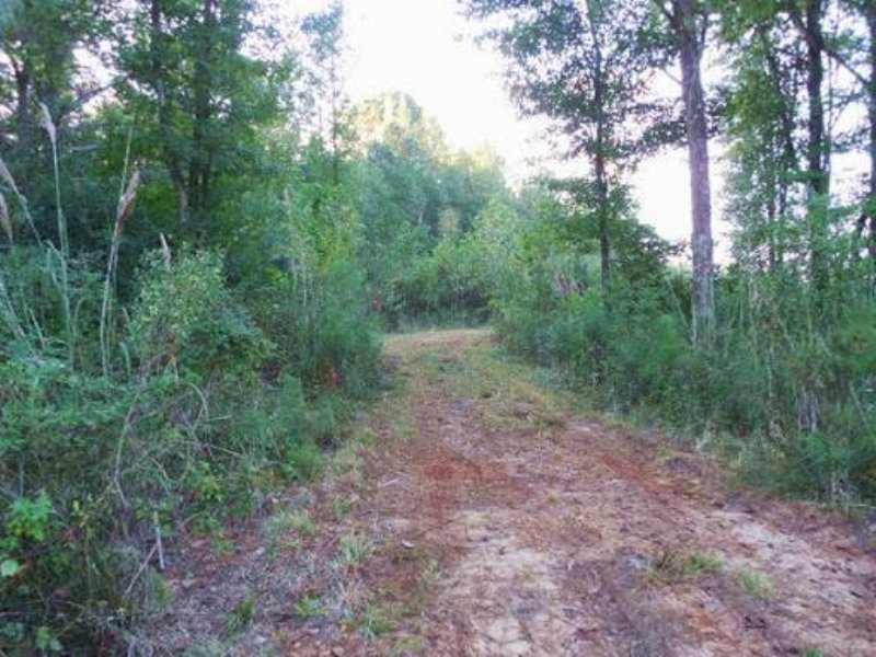 76.4 Acres in Attala County, Missis : Ethel : Attala County : Mississippi