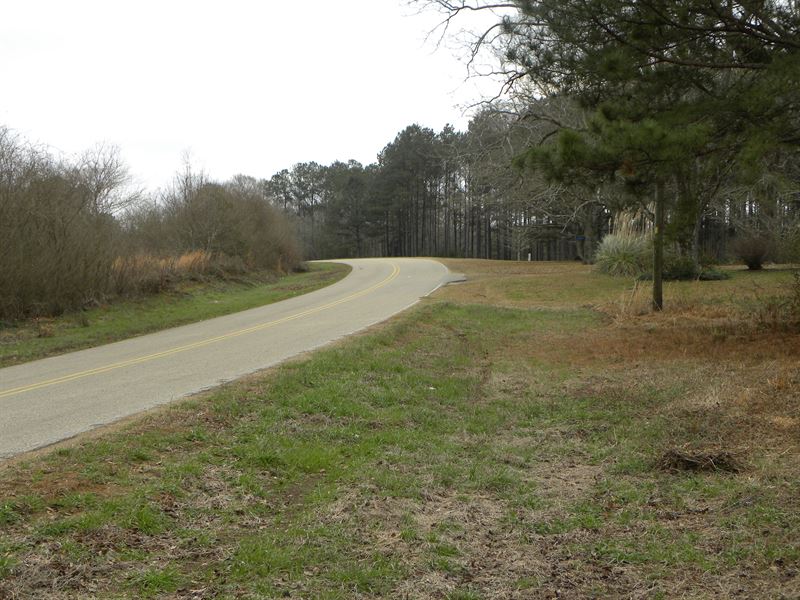 Hall Hunting Timber Tract : Luverne : Crenshaw County : Alabama