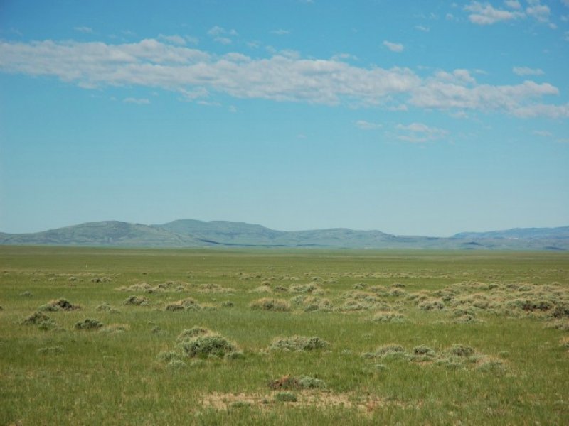 Prairie Springs 23 : Medicine Bow : Albany County : Wyoming