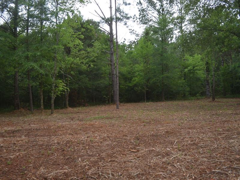 Stunning Large Homesites in Pike Ro : Pike Road : Montgomery County : Alabama