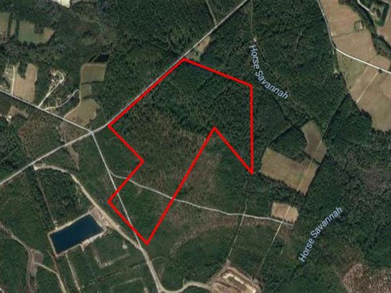 McNeil Tract, Bear Paw : Myrtle Beach : Horry County : South Carolina