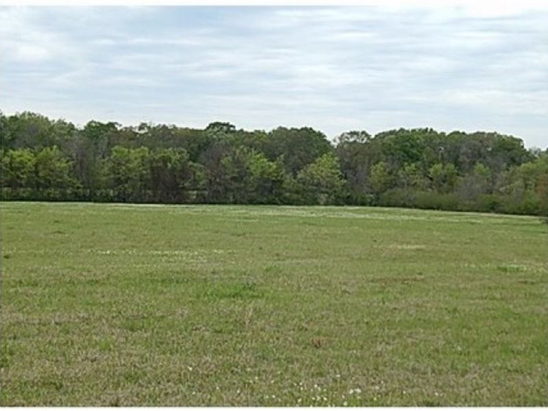 86 Acres in Scott County in Forest : Forest : Scott County : Mississippi