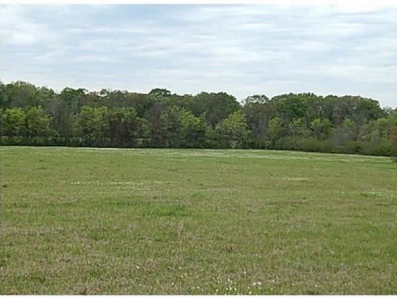 86 Acres In Scott County In Forest : Forest : Scott County : Mississippi