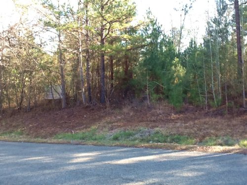 Jwm Lots in Greenville : Greenville : Butler County : Alabama