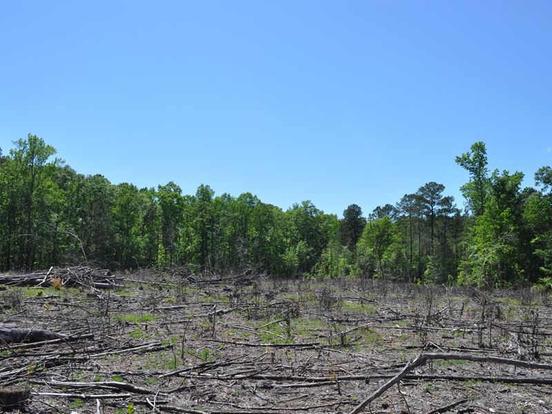 Sinclair Tract : Eatonton : Putnam County : Georgia