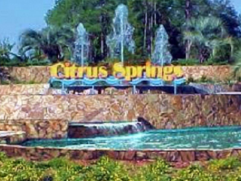 Buildable Land for Sale : Citrus Springs : Citrus County : Florida