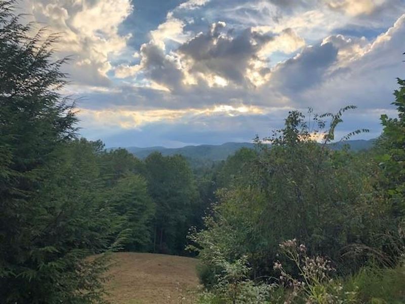 11.18 Acres Off Ridge Drive, Fer : Ferguson : Wilkes County : North Carolina
