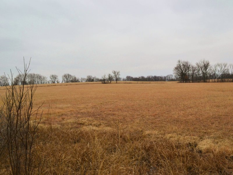 Romary 150 Acres : Lebo : Coffey County : Kansas