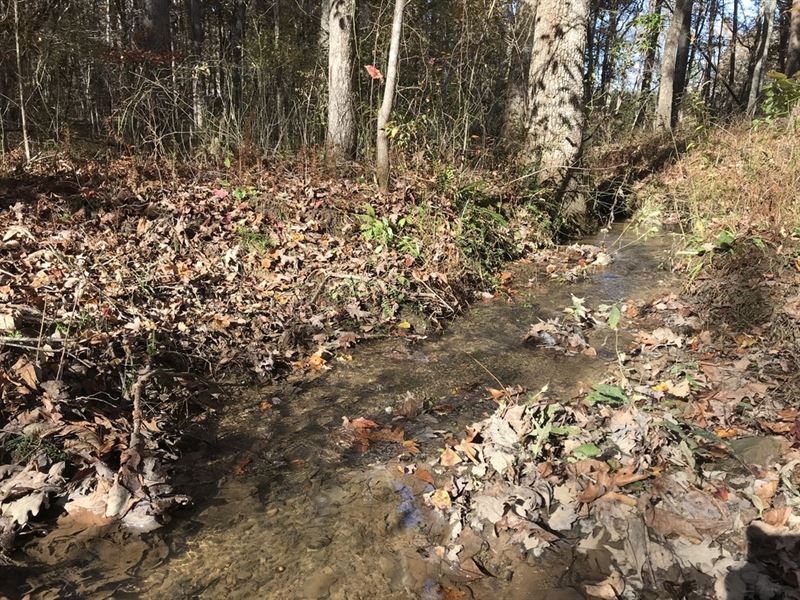 Wooded Private Residential Farm : Pikeville : Bledsoe County : Tennessee