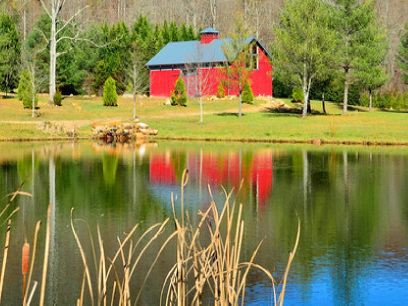 Betty's Creek Farm Land for Sale in Rabun Gap, Rabun County,