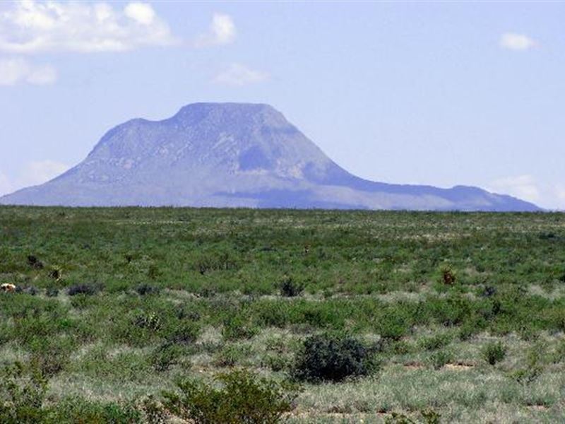 3220 Acres in Brewster County, Texa : Alpine : Brewster County : Texas