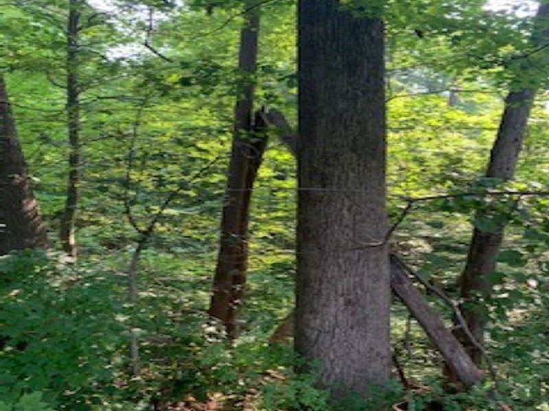 Lot for Sale in Owen County, IN 2.5 : Cloverdale : Owen County : Indiana