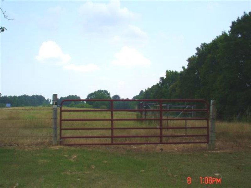 15 Acres Of Open Land : Louisville : Winston County : Mississippi