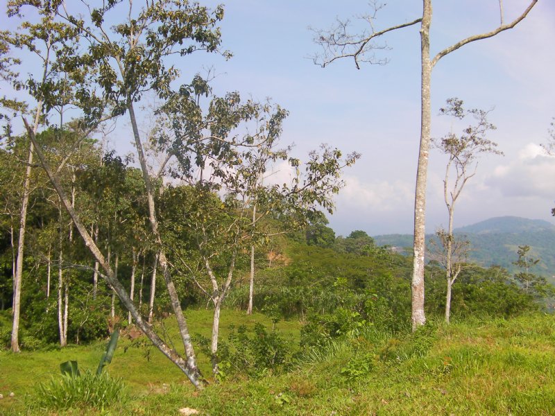 costa rica mountain homes for sale